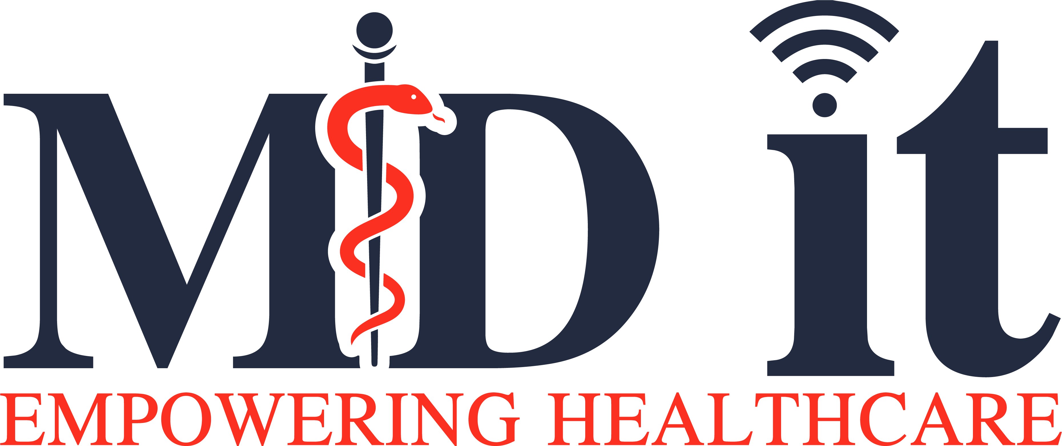 MD IT logo featuring a large navy blue 